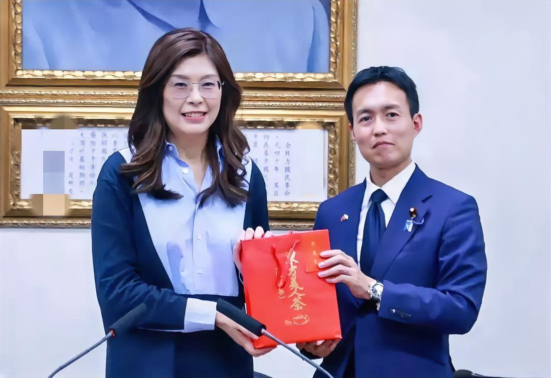 郑丽文8月5日发文表示：“我在中央党部会见由日本自民党青年局局长平沼正二郎众议员