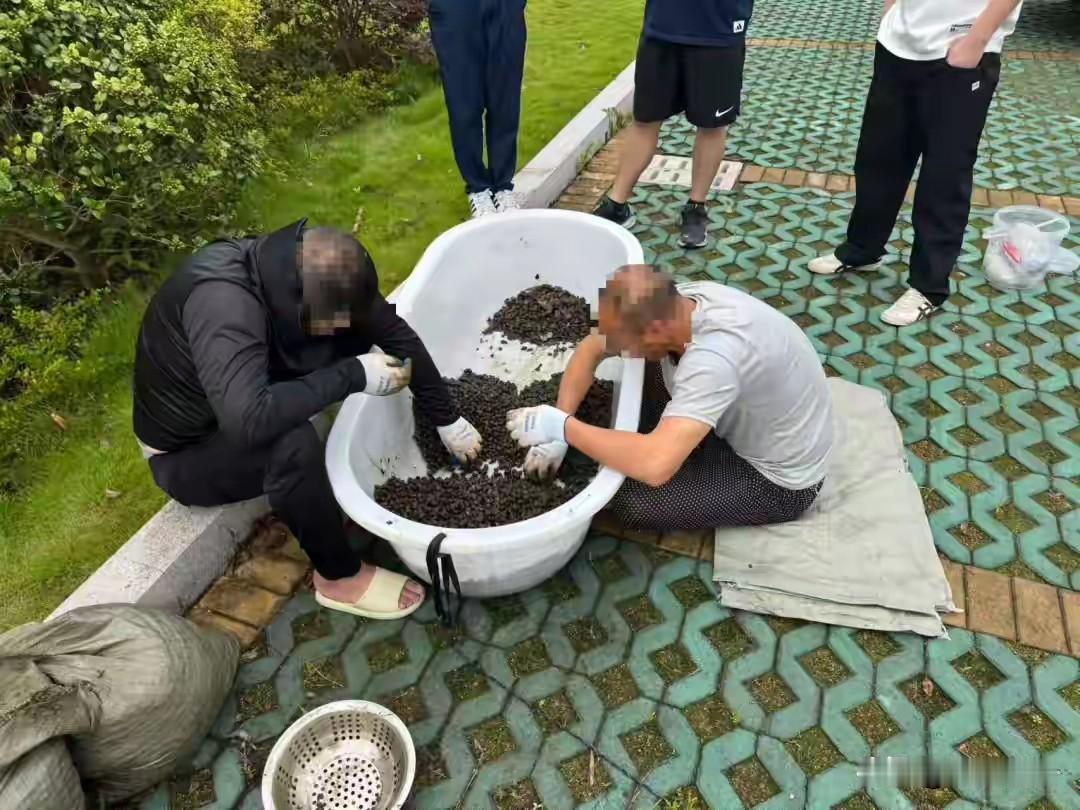 “贪大了！”浙江诸暨，2名男子深夜偷偷下水，摸了1000多公斤螺蛳，不料，警方赶