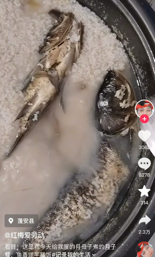 刚想喷这月子餐也太糊弄事儿了吧结果一翻评论区是给猪做的....​​​
