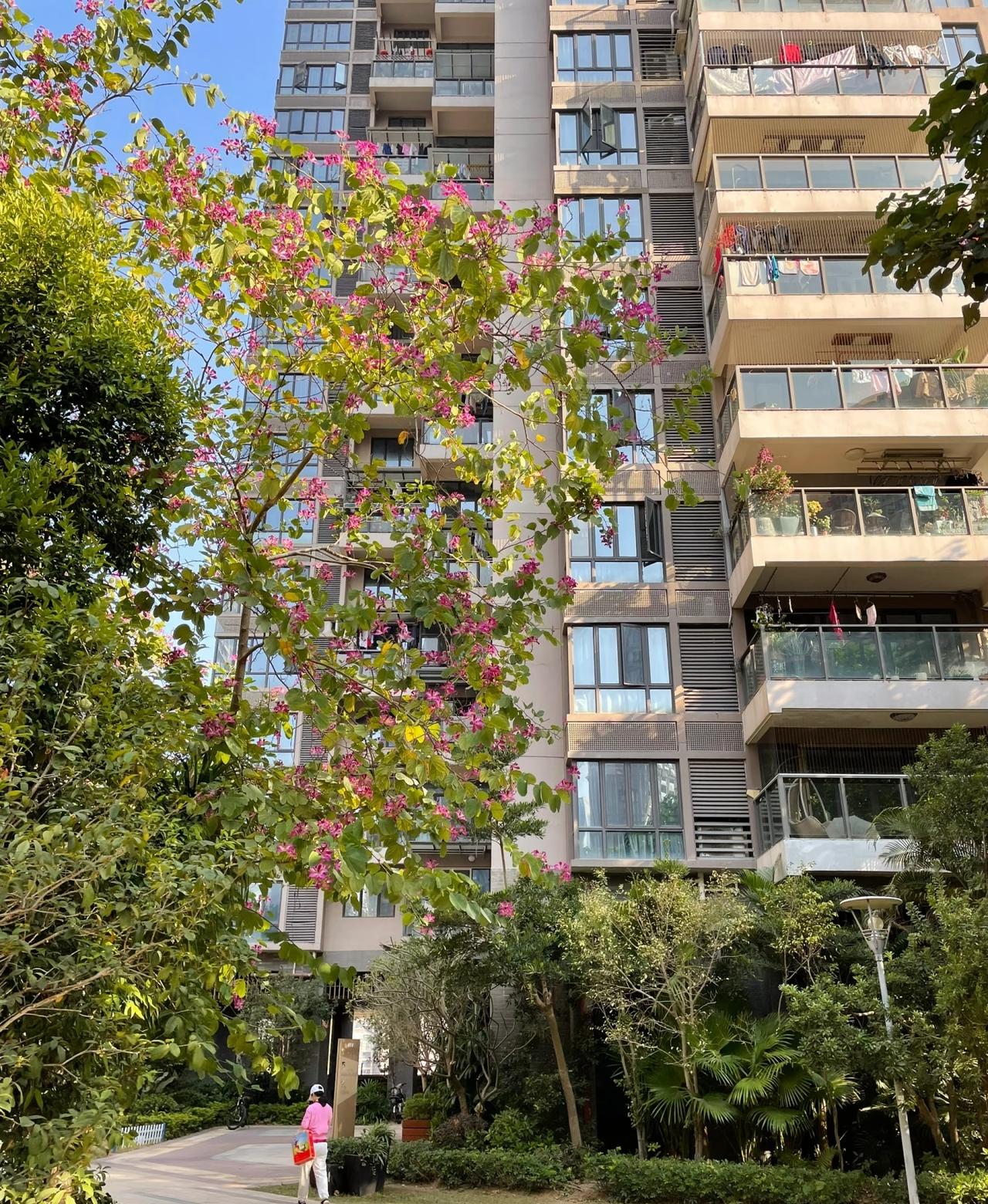 80后，在深圳漂了快20年，没买房也没落户。深圳普通刚需小两房大概450万左