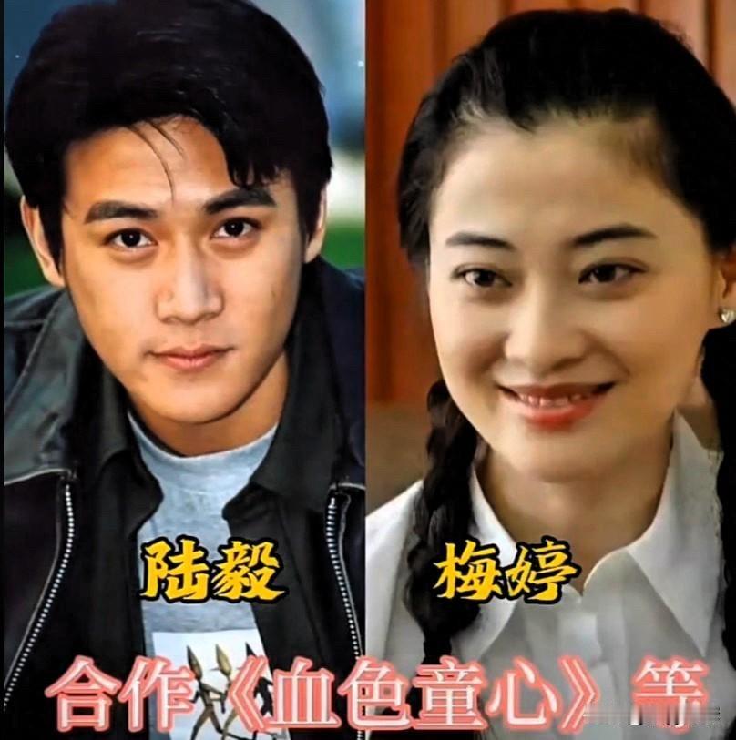 从《永不瞑目》到《胭脂》，陆毅身边从不缺美人，这几位女搭档个个是实力派。先说
