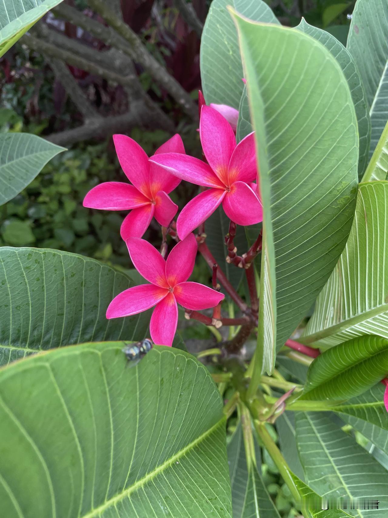 要结婚的朋友，一定要看了婚检报告再领证。一男子，和女朋友谈了一年，现在已经办了结
