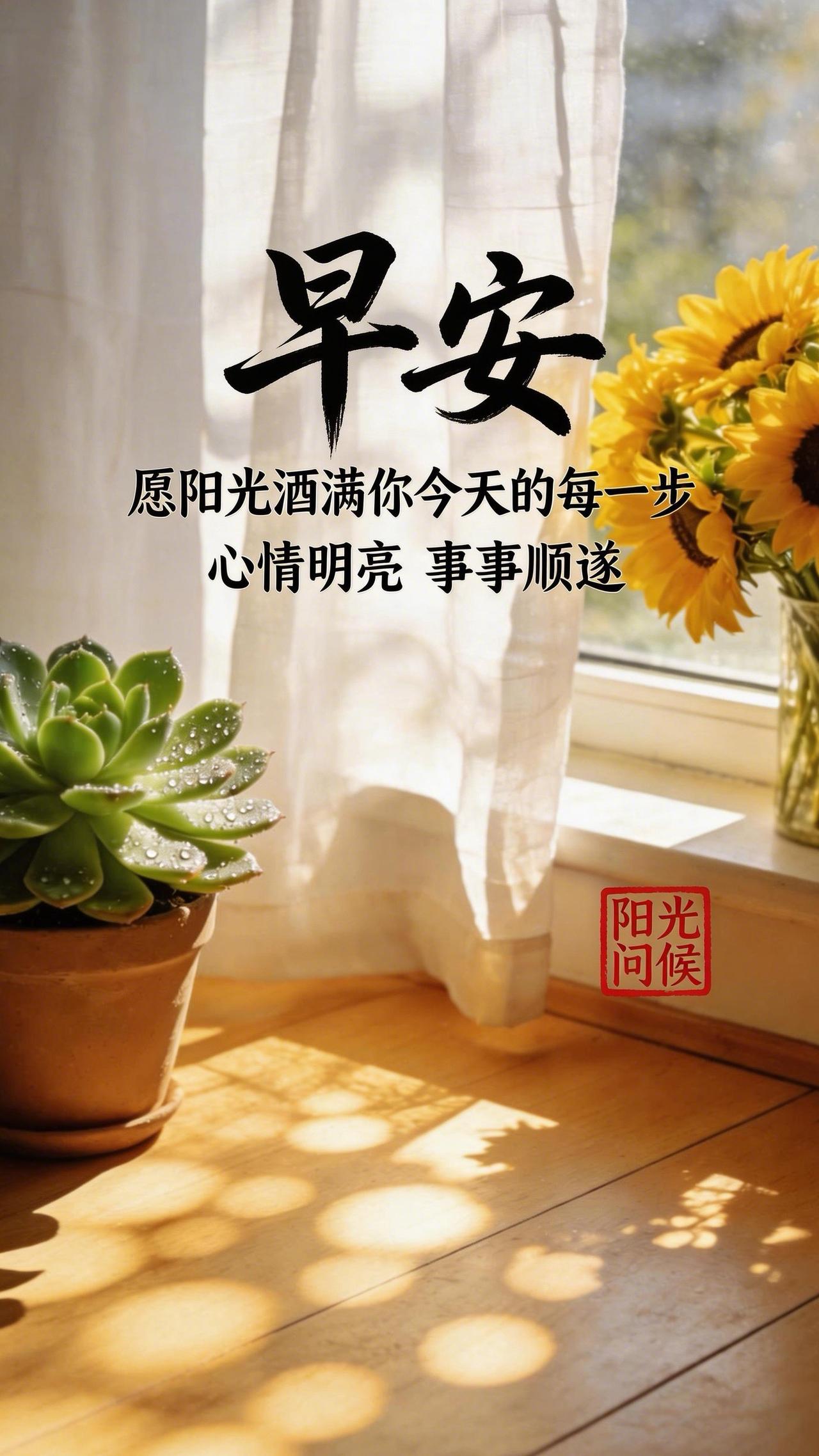 早安呀，愿你被今日的温柔与光亮紧紧包裹，一路向阳，满心欢喜。早安早安阳光问候