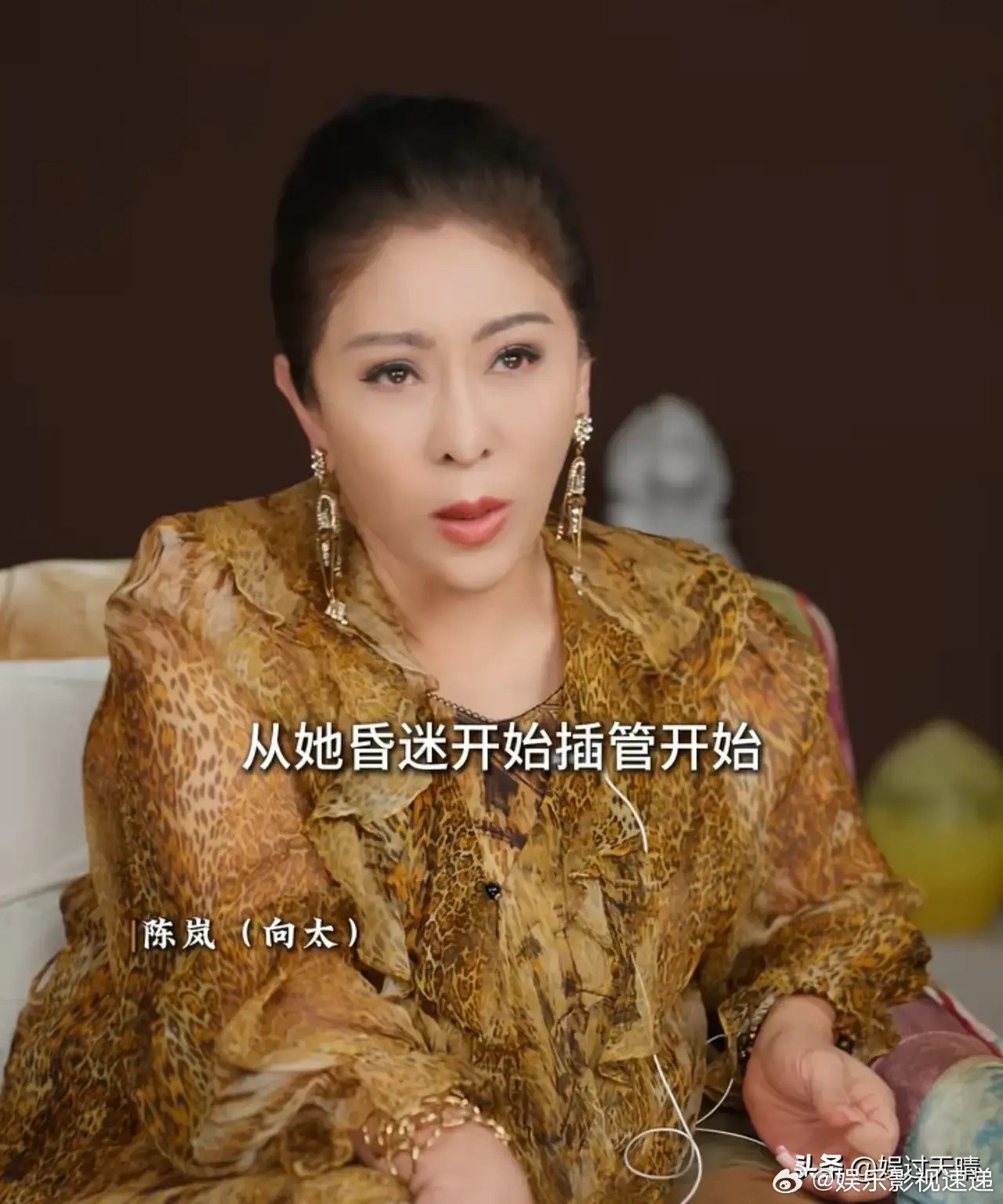 向太：“从施南生昏迷开始插管，我就和张叔平说医院很不负责，如果你知道她根本没救了