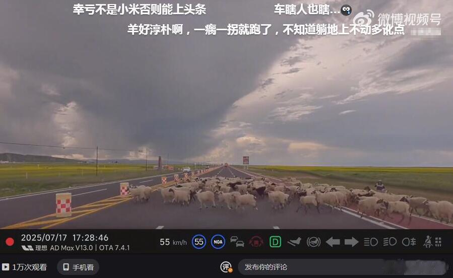 最近，有位博主分享了自己在新疆自驾时的遭遇：她开着理想在道路上使用NOA智驾，以