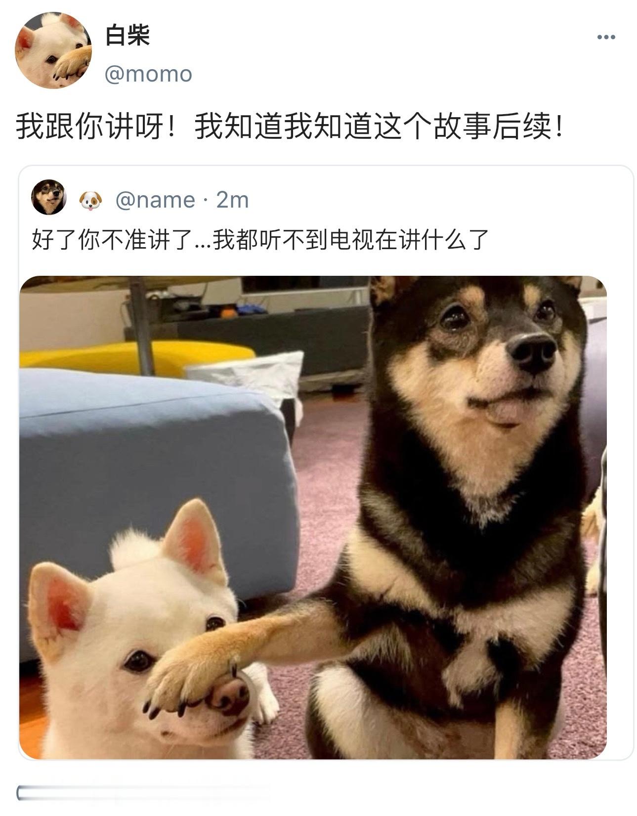 狗狗有泪不轻弹​​​
