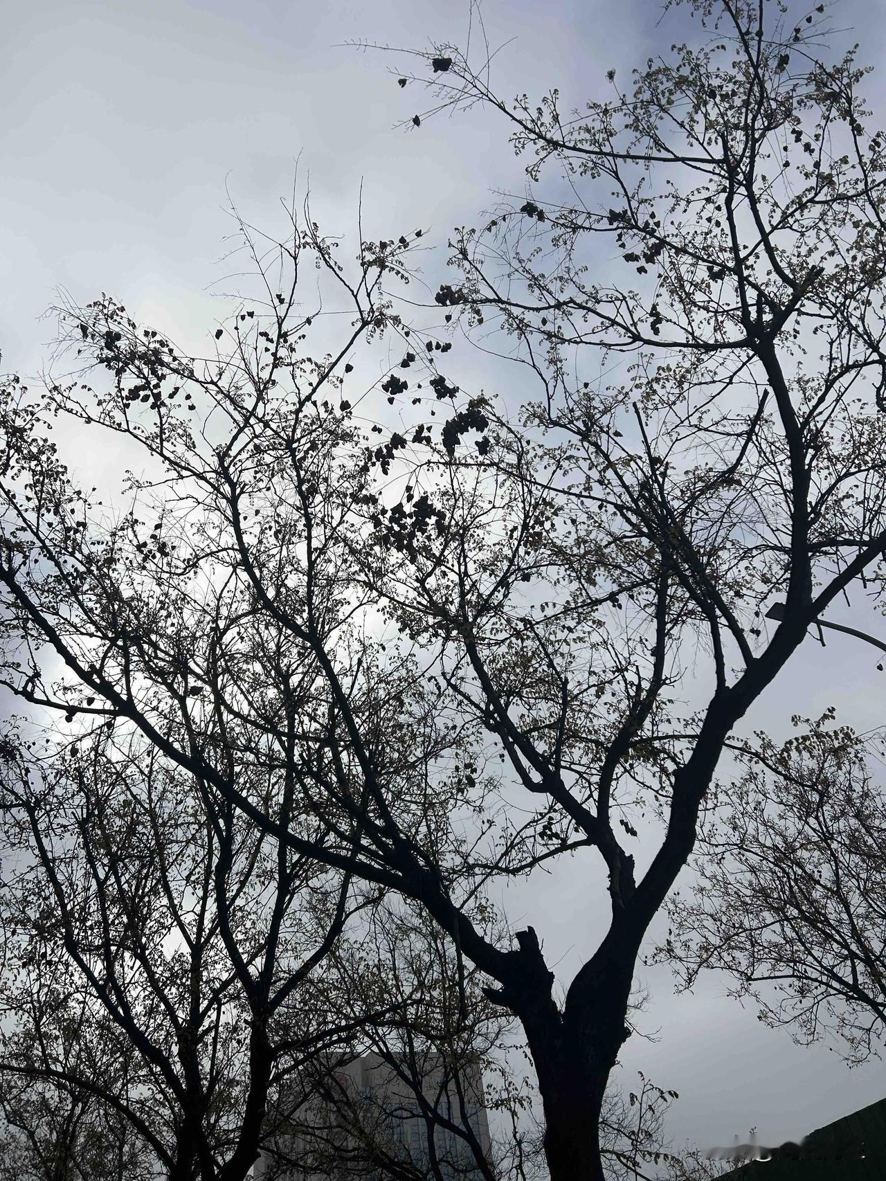 昨晚十点半，我和孩子正准备睡觉，前夫打电话过来说要和小闺女说话。我说明天晚上