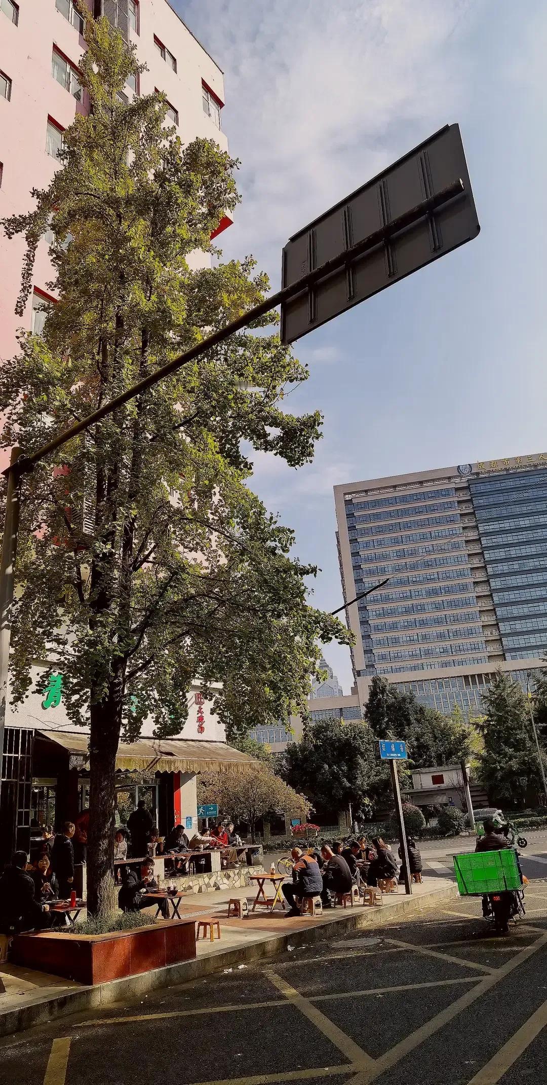 成都人最近像集体放假，太阳一冒头，公园长椅秒变抢手货。人民公园、浣花溪、东郊记