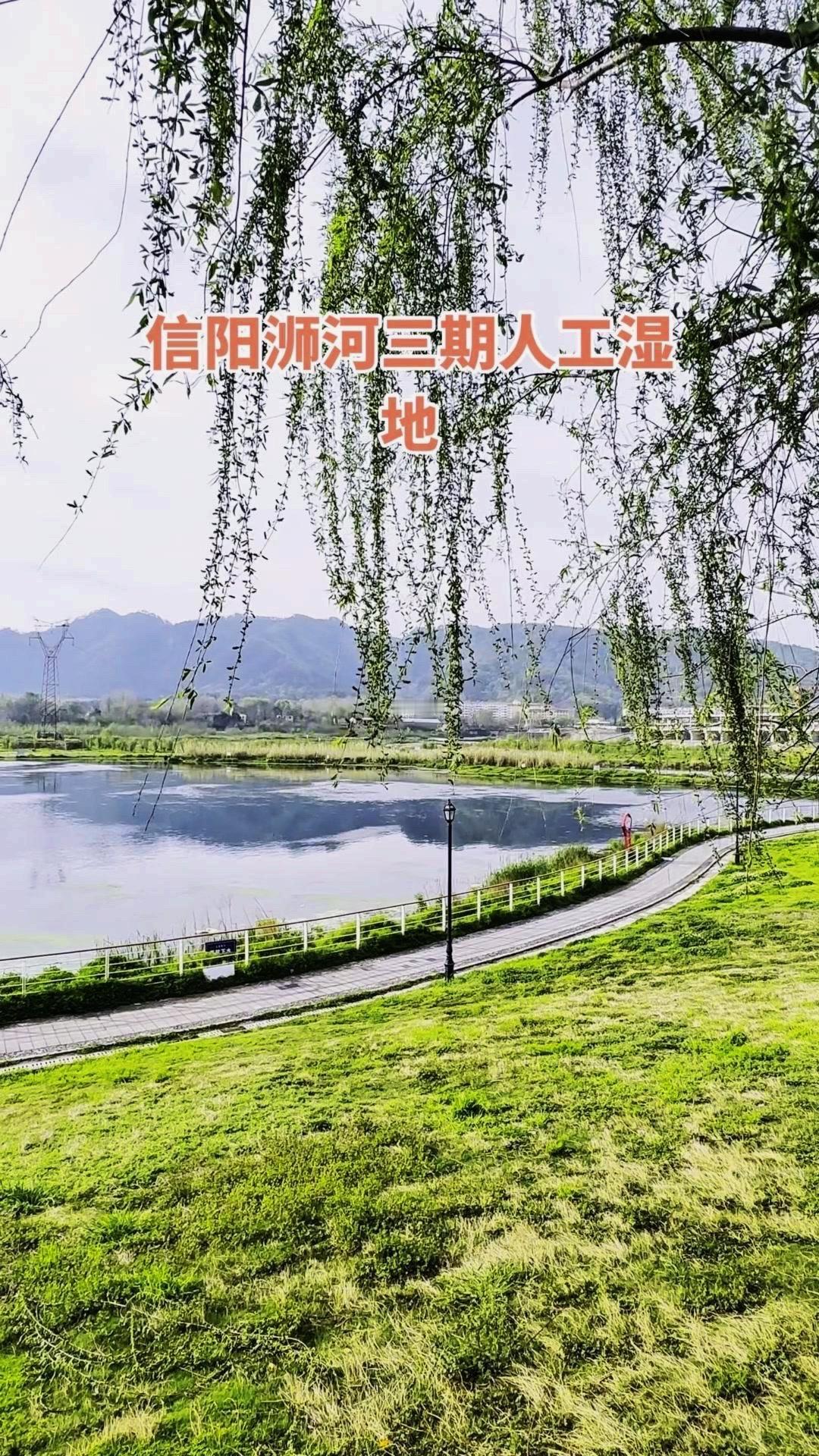 谁懂啊！信阳的浉河三期人工湿地真的美到词穷～岸边垂柳随风轻摆，水里波光粼粼，连空