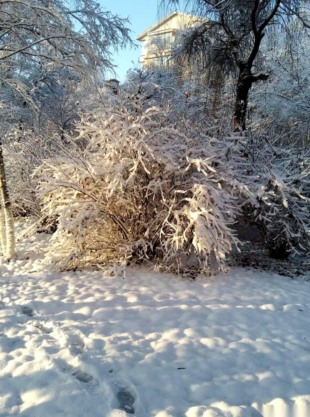 刷到一个帖子，差点气笑了。真想问问有些父母，女儿是你们的亲生骨肉，还是你们投资