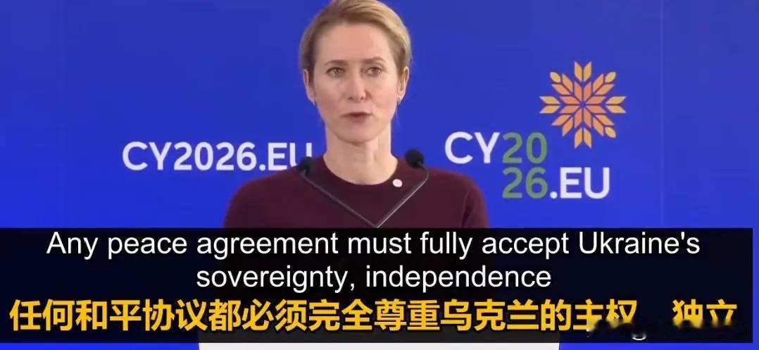 欧洲怕的不是俄罗斯用战争的方式占领乌克兰领土，而是怕乌克兰四州用公投的方式去成为