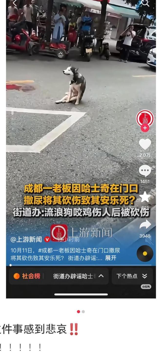 成都哈士奇事件会闹大吗?先追究狗主人的遗弃罪吧，再赔偿老板的鸡，并公开给老板道