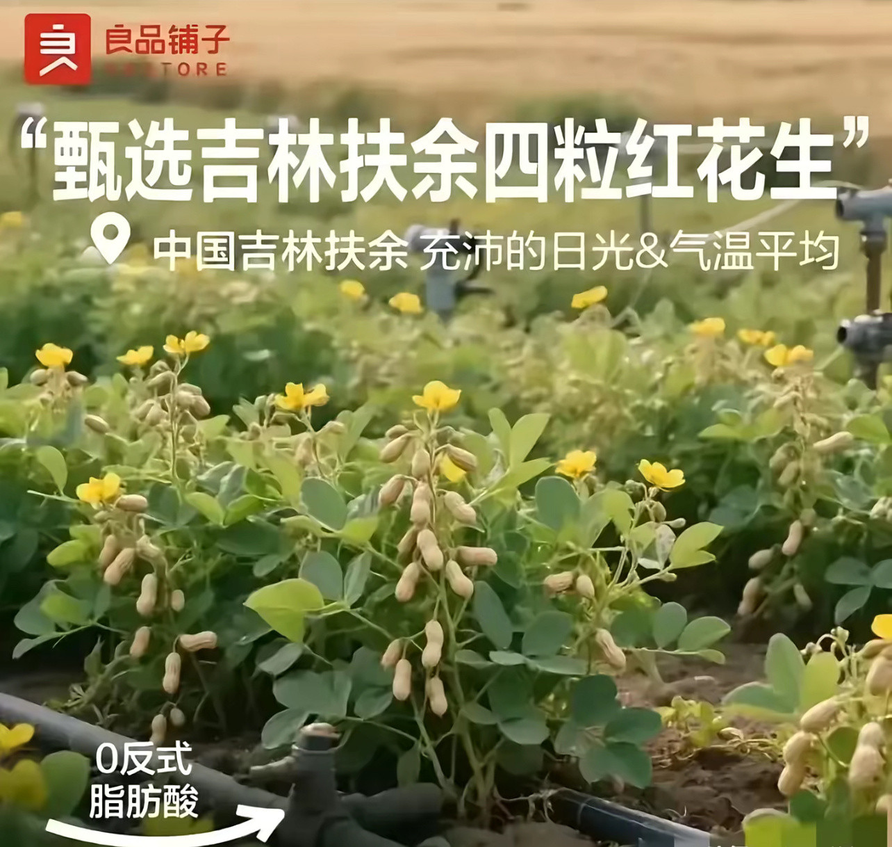 前几天看到这个图片，以为是恶搞p图没想到良品铺子真的用了这张Ai图作为宣传图……