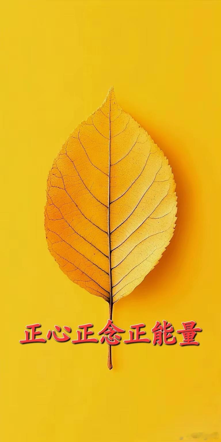 《素问·阴阳应象大论》核心是天人相应、左升右降、上右下左的人身阴阳格局。原文天不