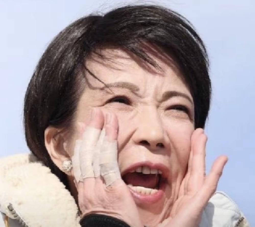 高市早苗这波操作，翻脸比翻书还快。这边刚对中国游客举起“剪刀手”，签证费直接