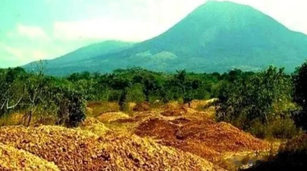 1997年，一果汁生产商将1.2万吨橘子皮，倒在了自然保护区，因此被起诉到了法院