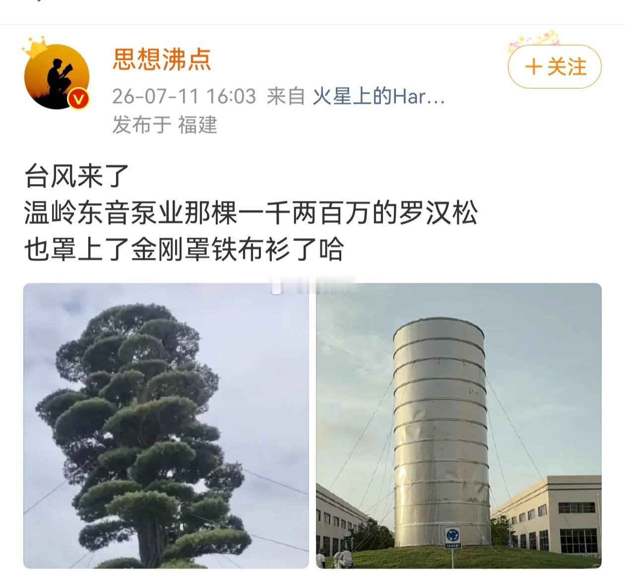 确实是这样，很多我们常见的行道树、公园里的树，其实价格都很贵，像一些公园里20年
