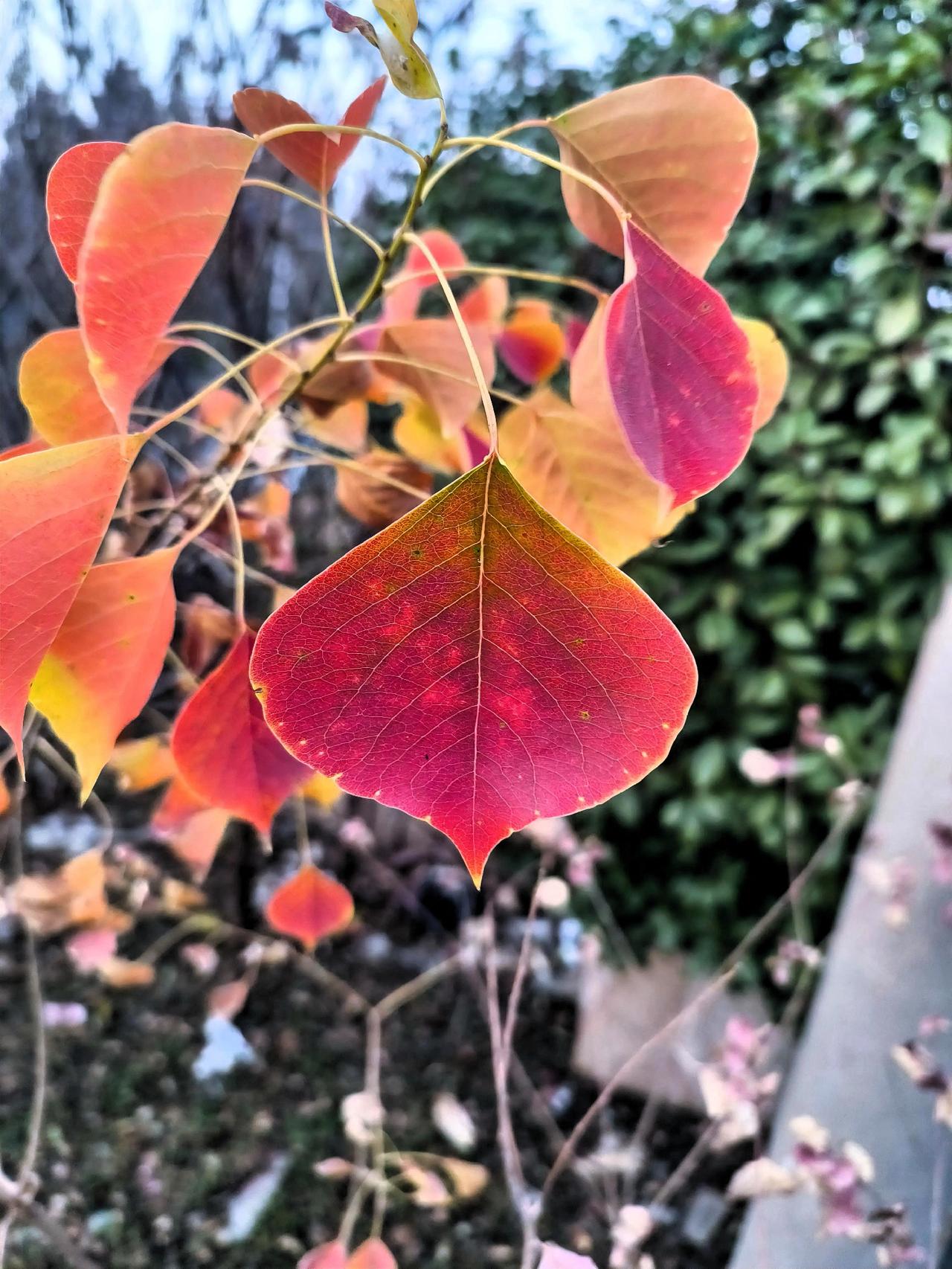 当下属给你发一个文件或者是一段话时，无头无脑，没有电话，也没有在微信当中提出自己