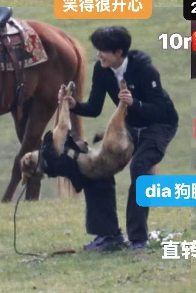 tg作为一个家里养了只金毛的养狗爱狗人士，看到这个非常生气愤怒，小狗紧紧夹住尾