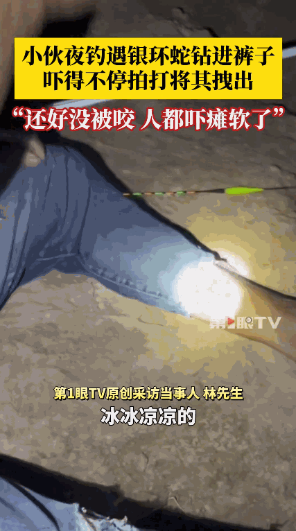 “这就是命啊！”9月14日，广西防城港，一男子坐在河边钓鱼，忽然，感觉小腿一阵冰