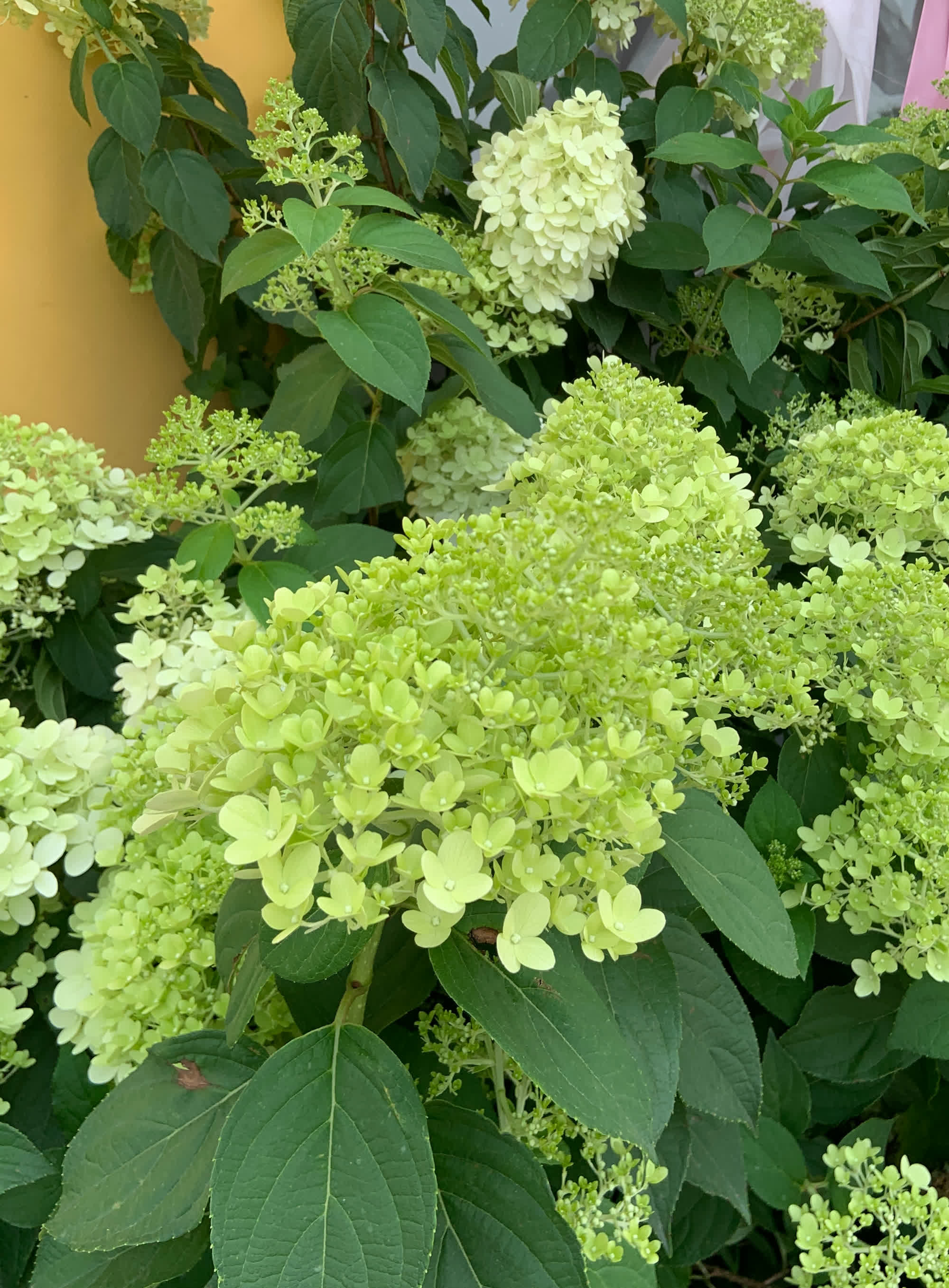 当你落难时，会有谁来帮你?1、父母帮助的可能性，几乎高达99%。2、夫妻
