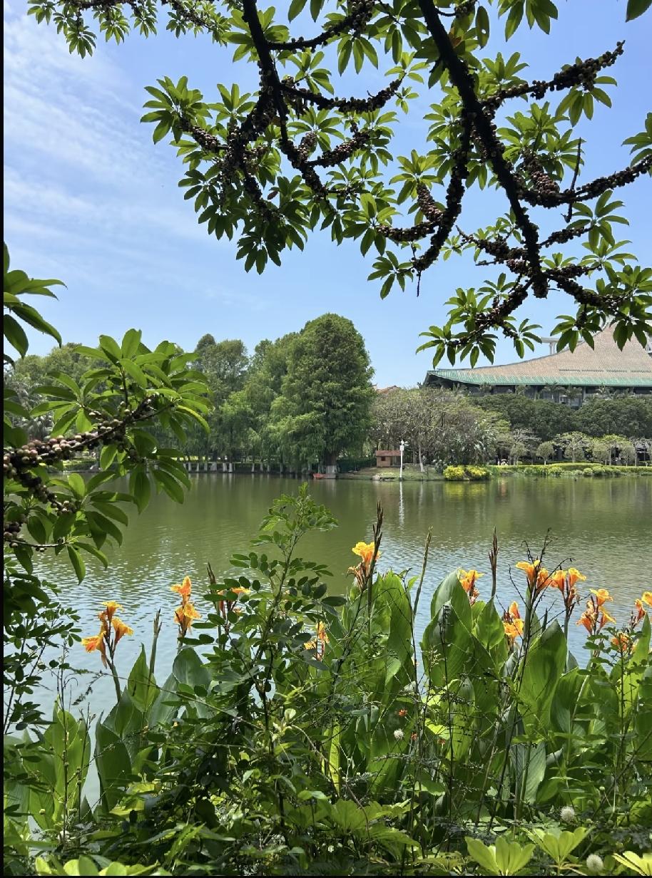 说说我为什么讨厌我公婆吧，特别是公公。对我们的生活指手画脚1、前年老公送外