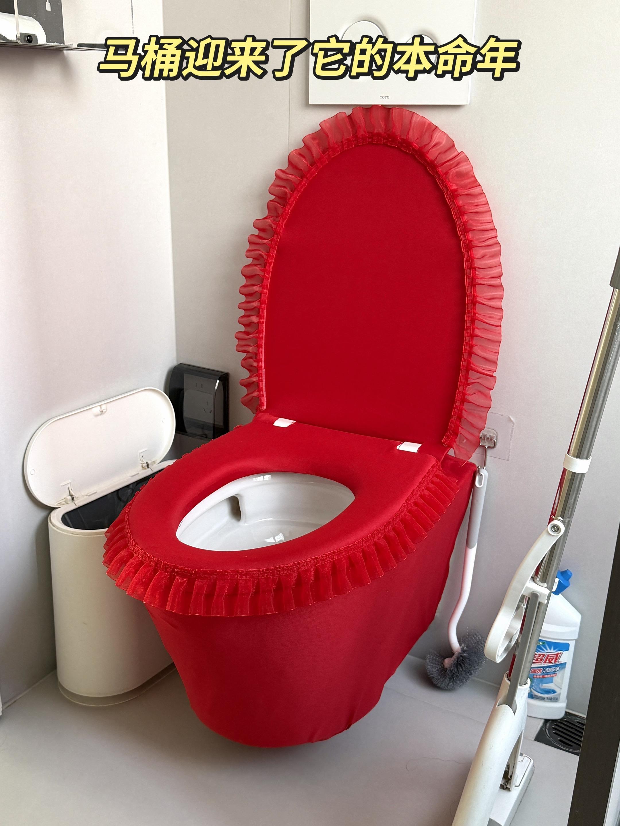 马桶迎来了它的本命年。