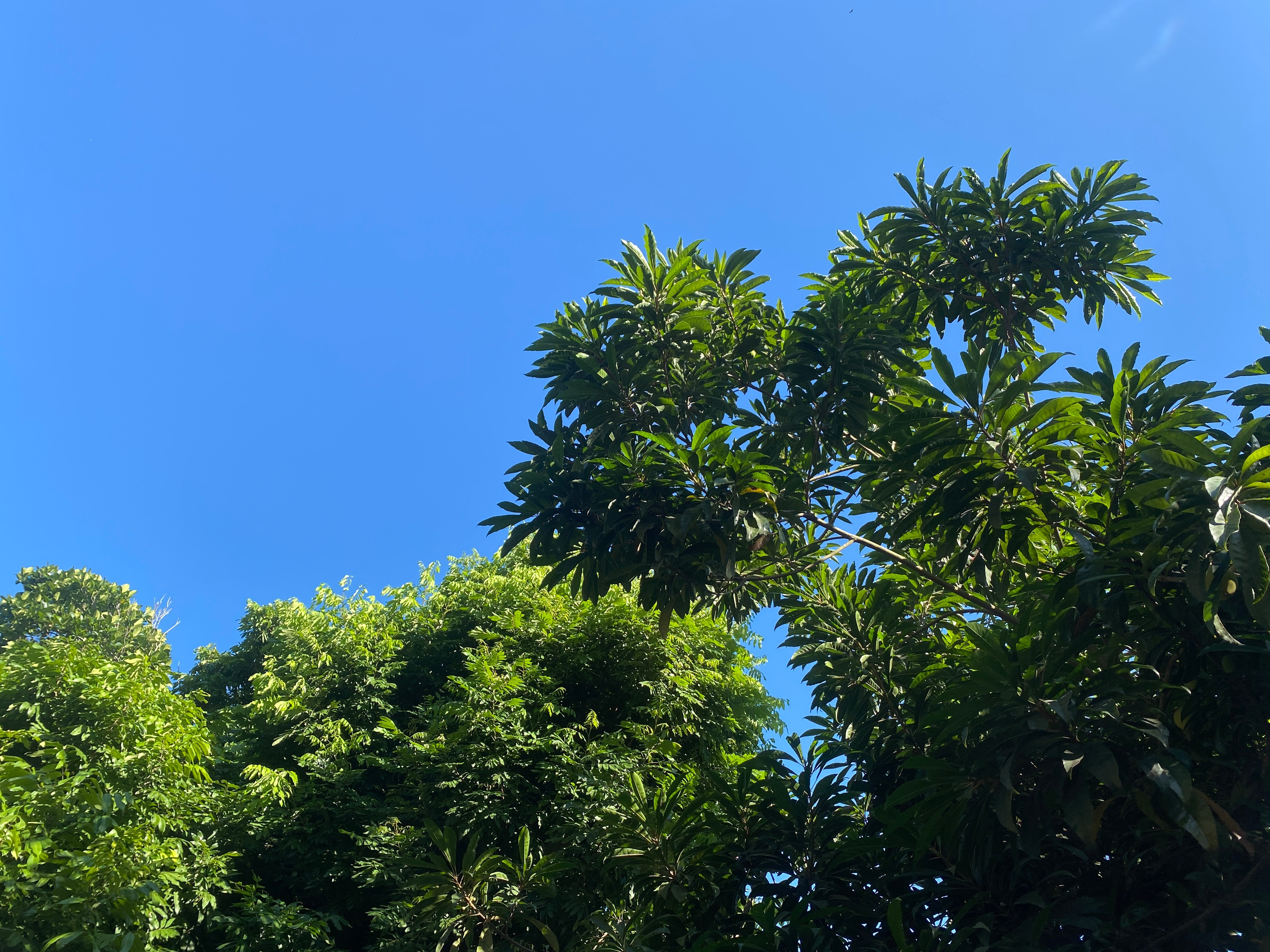 今年最火的话题，大概就是社保了。不管大家怎么吐槽社保费年年涨，但说实话，社保还是得交。不光是为了以后