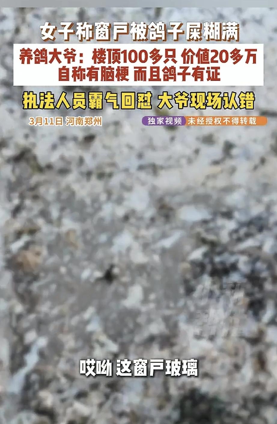 河南郑州，一女子爆料称，她家窗户被鸽子屎糊满，可找到养鸽大爷后，大爷不得不及时承