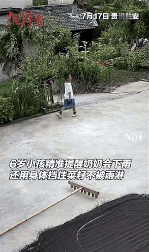 “完全没法解释！”贵州，6岁男孩在院子里玩，可突然男孩跑到奶奶身边说要收菜籽，要