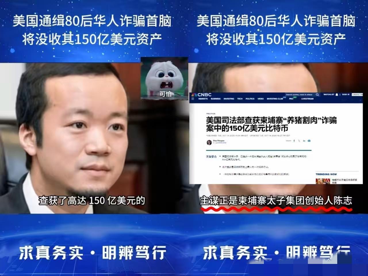 别再说美国是“收割”陈志了，这根本是迟来的清算，只不过它下手又快又准！这福建籍的