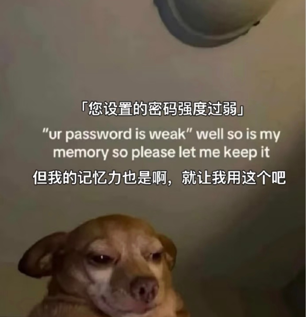 卧槽不要逼一个连密码都记不得只能用短信验证码登录的人了