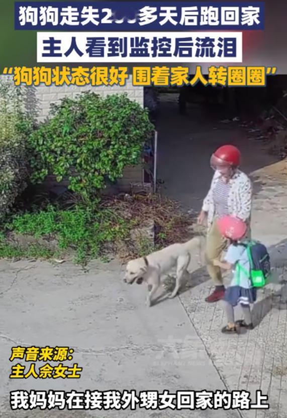 “这就是命啊！”湖南常德，一女子接外孙女放学，竟然在回家的路上，看到了走丢200