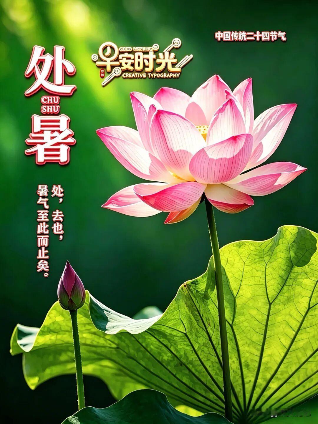 明天才正式出伏呢。但今天是最难熬的尾巴。老话说，这时候身体要“收”了。夏