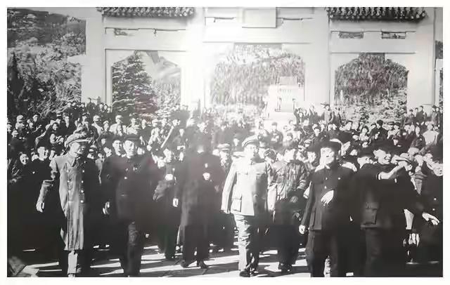 1953年，毛主席登上中山陵突然脸色一沉，指着满山的树问江渭清。那天是195