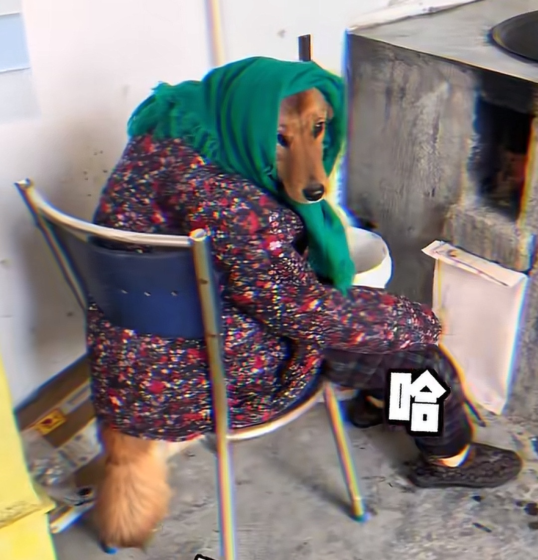 小红帽当年得有多der啊，能把这玩意儿认成外婆