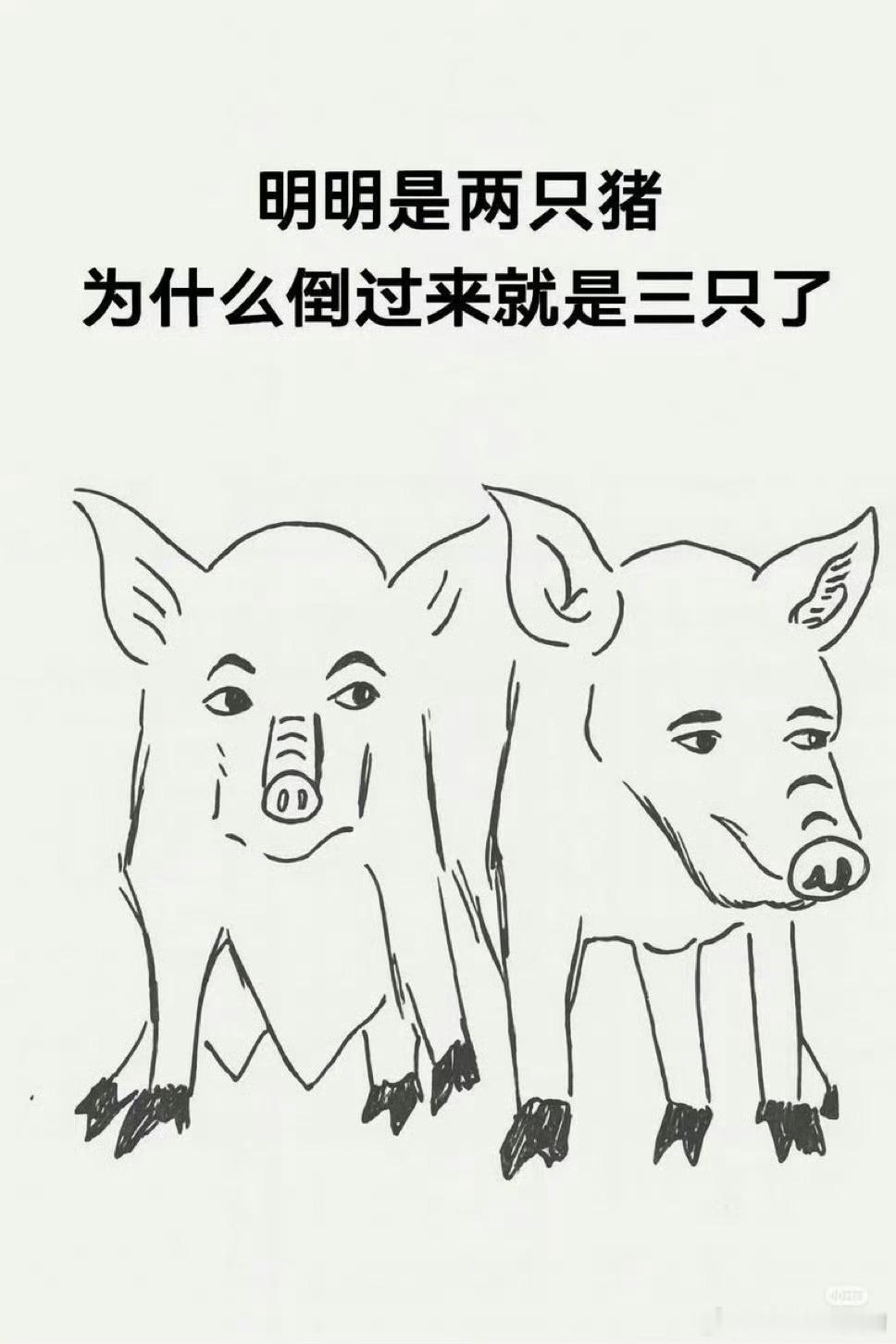 远看是山！近看是？​​​