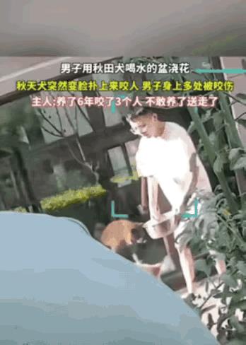 “心凉半截！”宁夏一男子，大热天随手拿起自家狗喝水的盆子浇花，谁想到，养了整整六