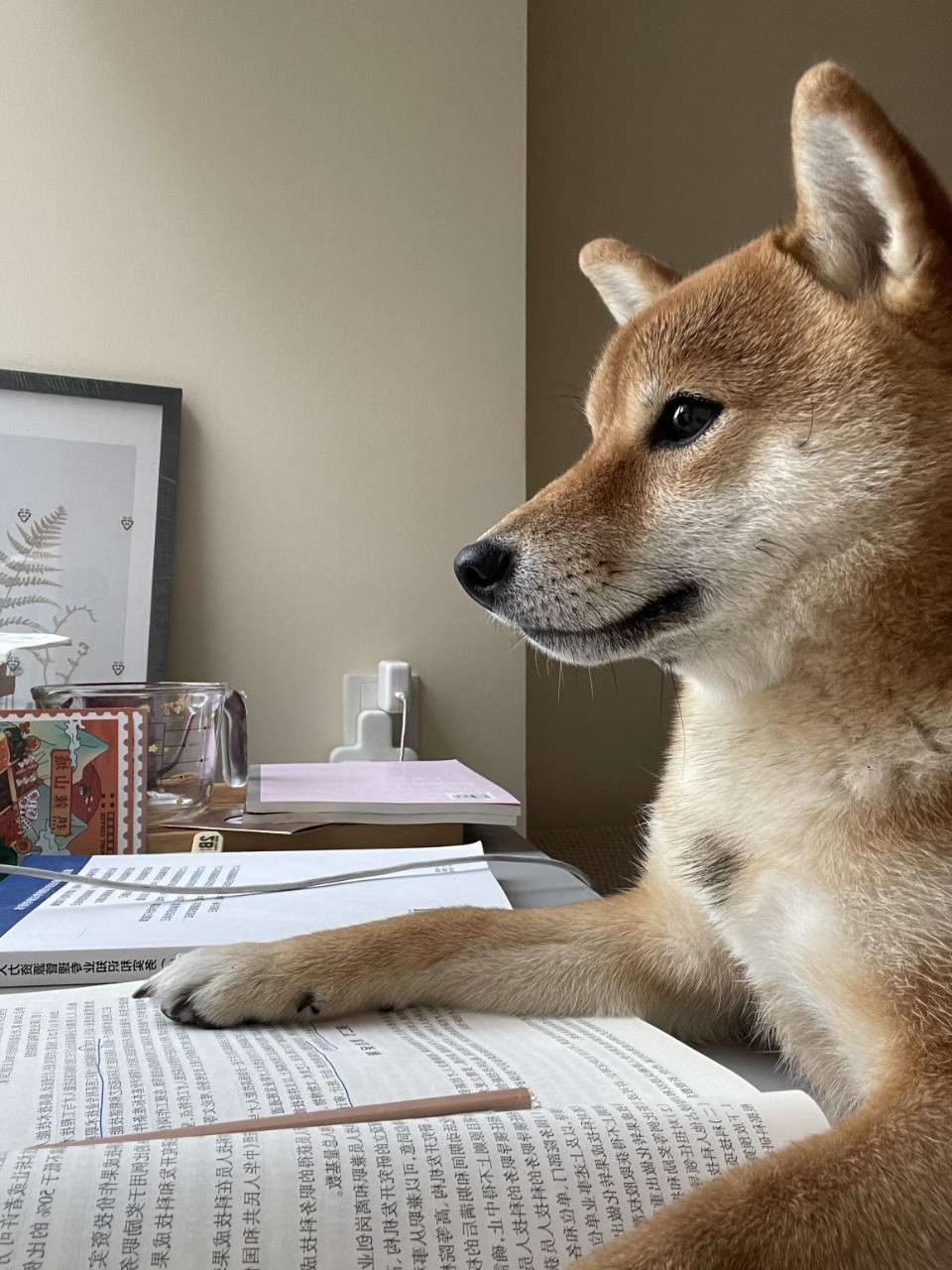 我开会时听领导讲话的样子职场那些事职场生存法则​​​