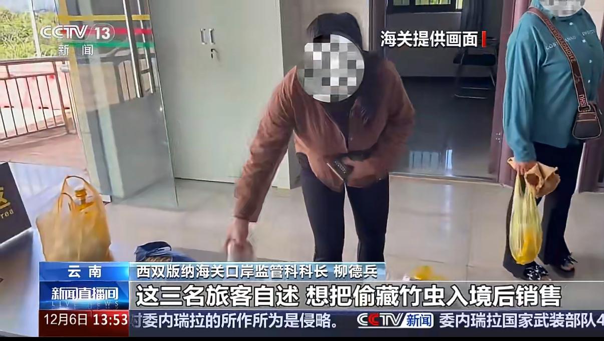 谁能想到有人会把一公斤活蹦乱跳的虫子绑在裤腰上闯关？云南西双版纳的海关关员执勤时