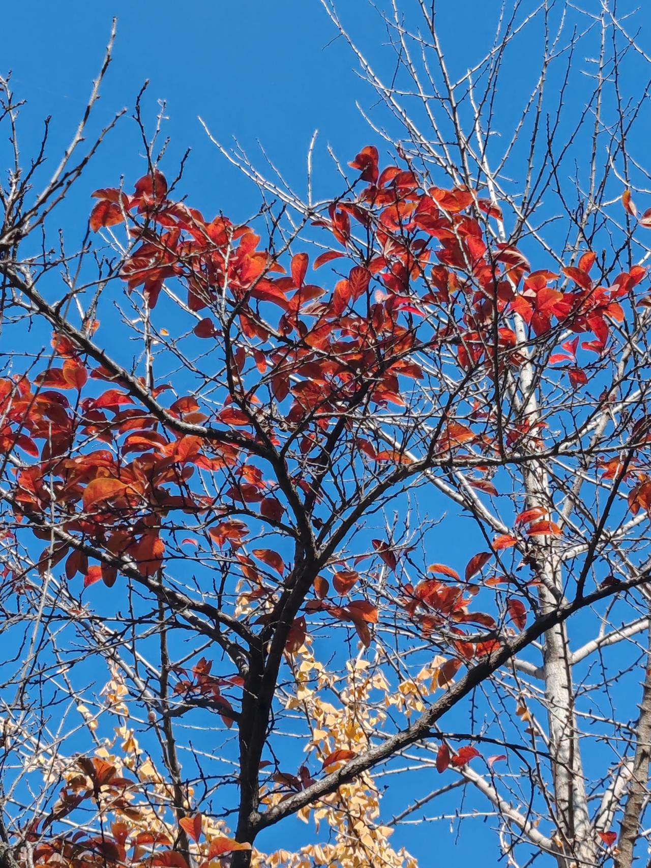 人到了一定年纪，就会看得很开，把生死都看淡了。一辈子该做的事都已做完，上学读书、