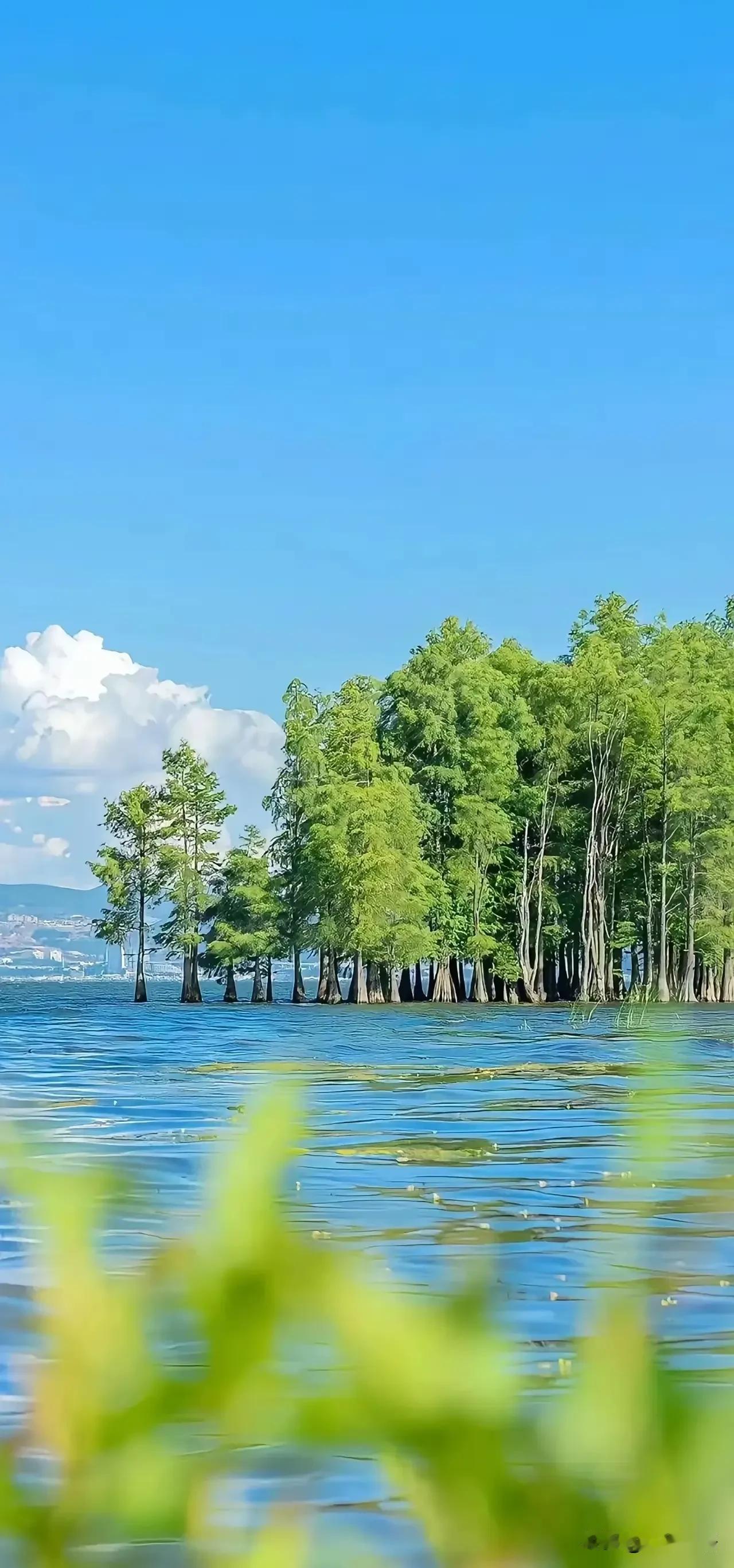很通透的一段话：“你一定要知道，不是你死的时候钱没花完，也不是钱花完了还没