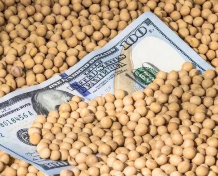 美国大豆为什么非要卖给中国？其实，站在美国的角度，三年不卖给中国大豆，扩大国内内