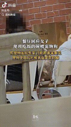 “顾客天塌了！”12月14日，北京，一女子吃饭时，发现邻桌的客人正用盘子给狗喂食