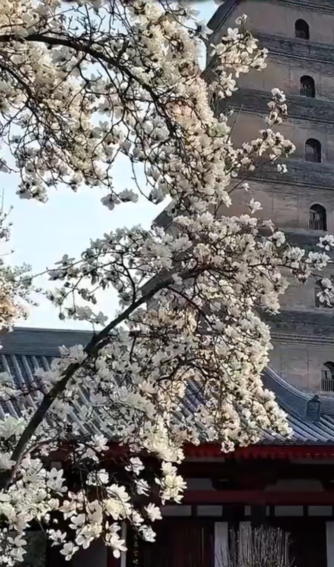 新的一天我的心願：心向光明彼此照亮。世界和平國泰民安，每個家庭幸福美滿，