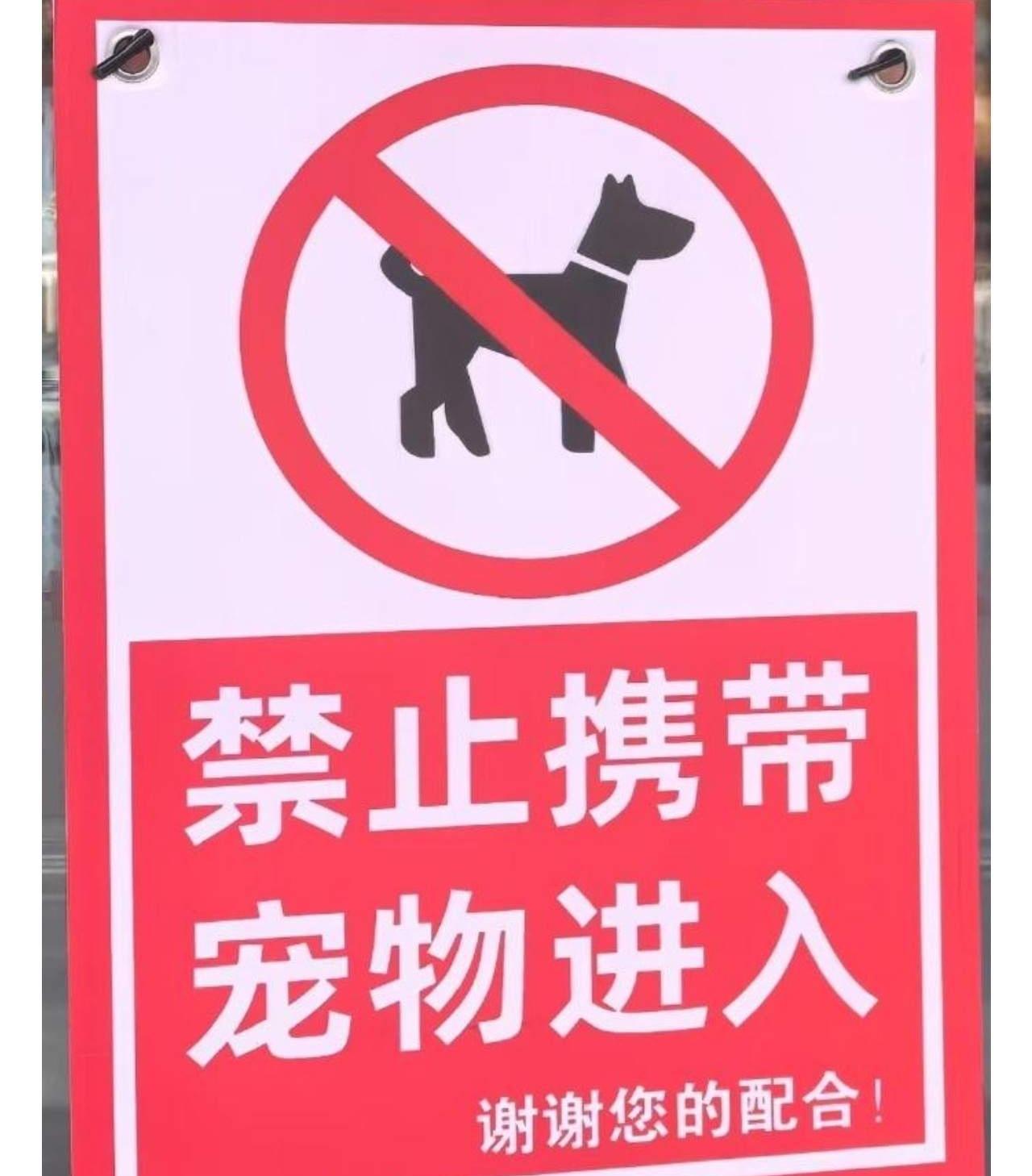 近期北京下架了商店里宠物友好标识牌。这也算是一种新的拨乱反正。商场本来就是人