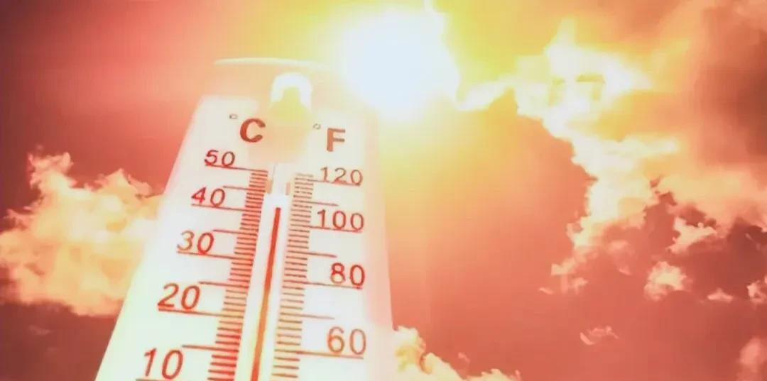 在30+的气温下又过去了一个热天，今年的夏天已经连续超过了五个月，看来以后要适应