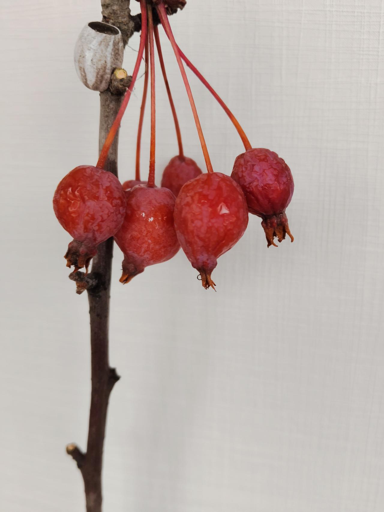 购买校外试卷停！那到底怎么考试？考啥？教育部新通知，任何中小学一律不得购买