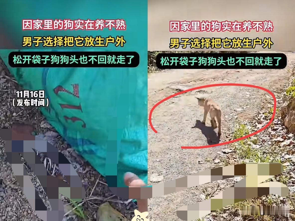 男子养了一条狗，却怎么都养不熟，无奈之下，他只能将狗子装进麻袋，带到野外放生