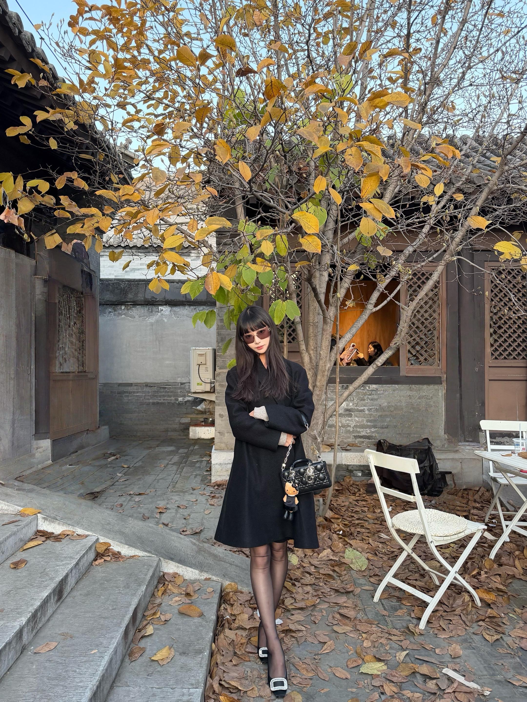 见一面吧，在北京的秋天里